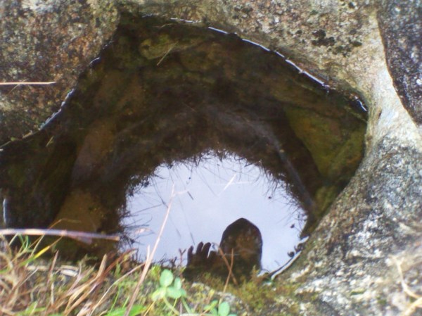 me in a well