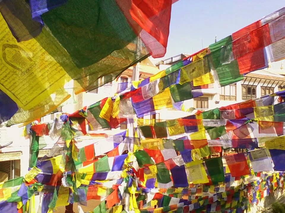 IMG_9667647247291.jpeg image