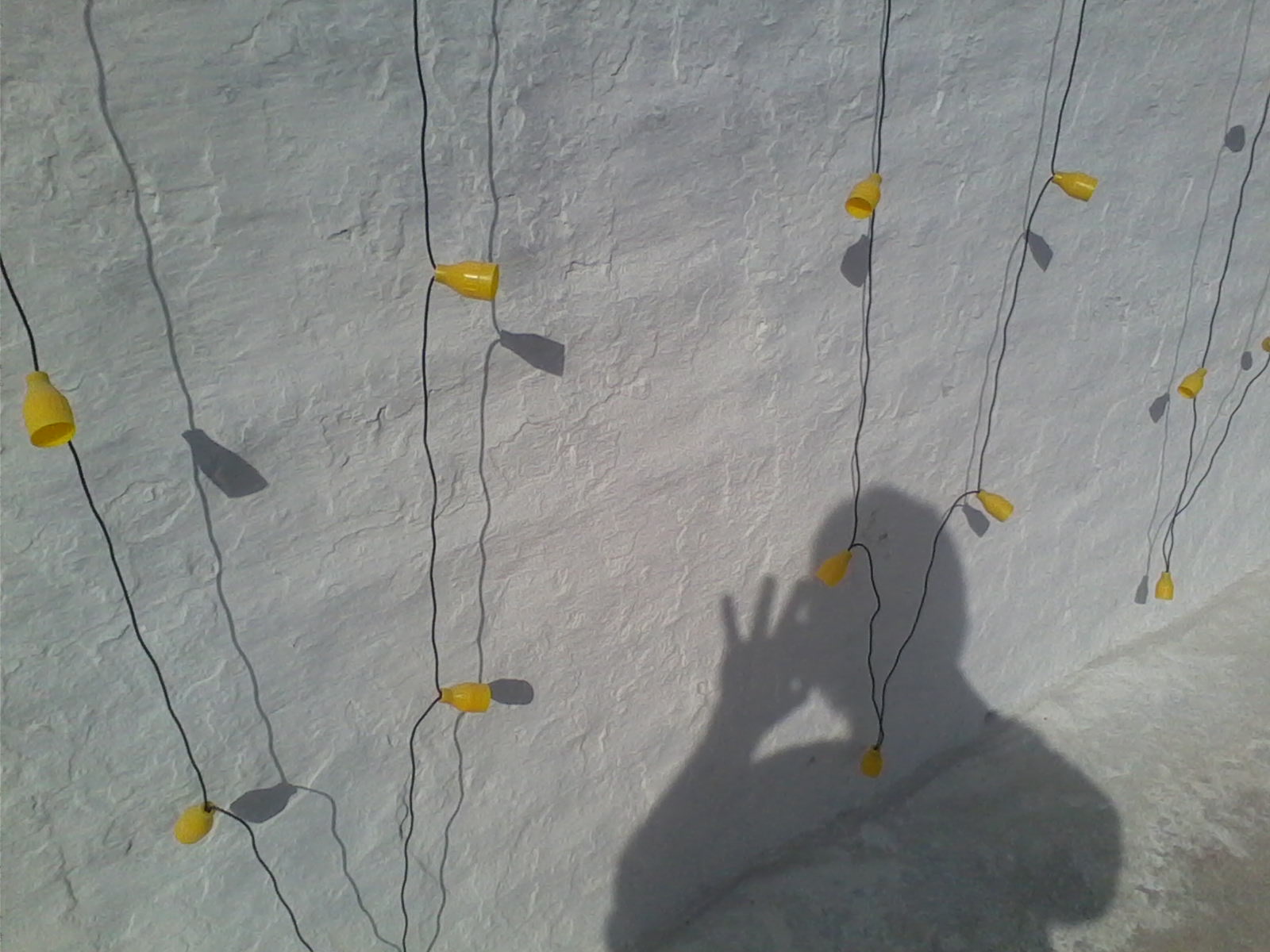 IMG_20131108_095627.jpg image