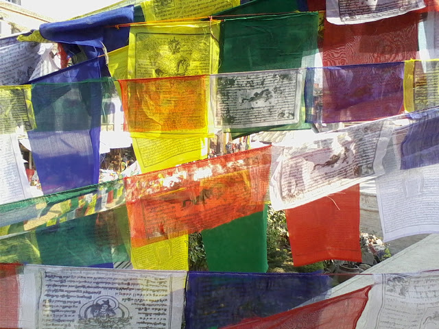 wp-1407867251143 image